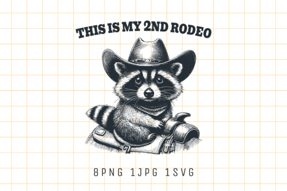 This Is My 2nd Second Rodeo Cowboy Embroidery Review